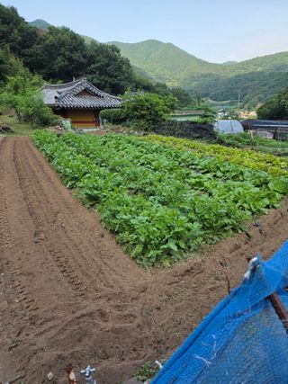 김윤철님의 자유주제 · 자유게시판 작성글 사진