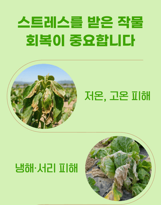 농업마켓365님의 작성글 사진