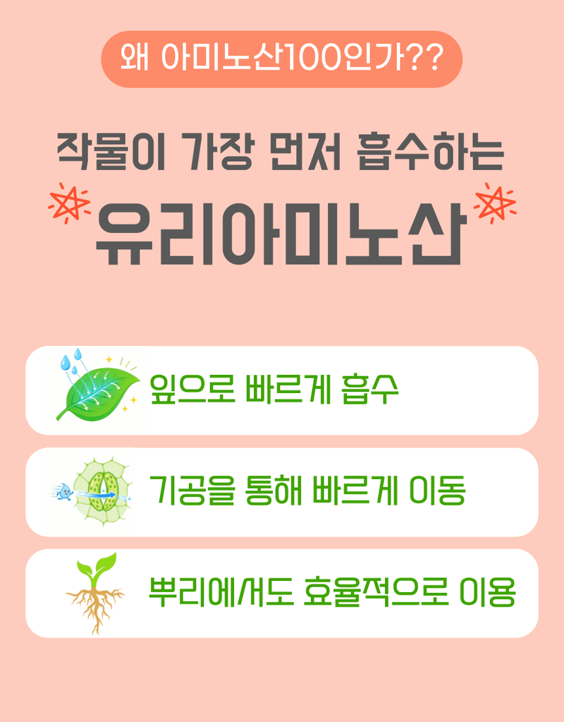 농업마켓365님의 장터 판매 상품 [아미노산100 액제 500ml 고농축 동식물성 유리아미노산 생육촉진 프리미엄 식물영양제] 첨부 사진