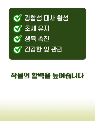 농업마켓365님의 작성글 사진