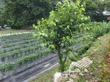 김윤철님의 자유주제·자유게시판 작성글 사진