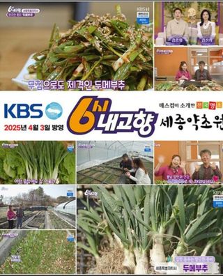 약초원 김종군님의 자유주제 · 자유게시판 작성글 사진