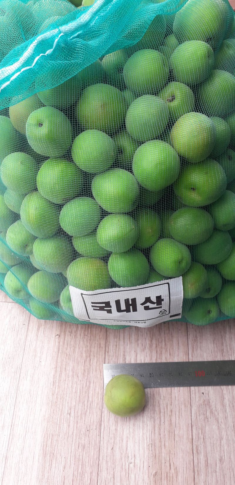 이슬농부농산님의 장터 판매 상품 [친환경 청매실(10kg)] 첨부 사진