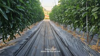차상만님의 자유주제 · 자유게시판 작성글 사진