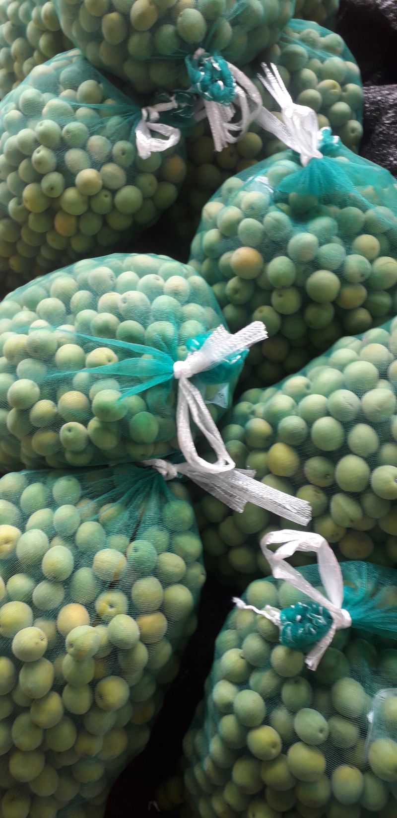 이슬농부농산님의 장터 판매 상품 [친환경 청매실(10kg)] 첨부 사진