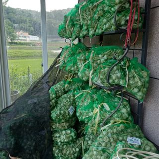 삼성농산님의 작성글 사진