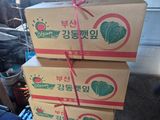 준영농장 출석왕.님의 자유주제·자유게시판 작성글 사진