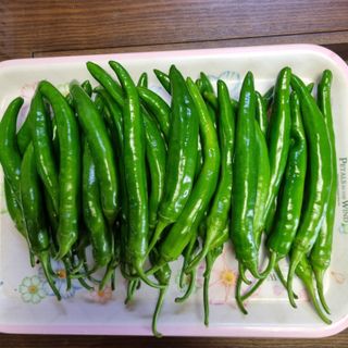 훈&팜님의 작성글 사진