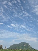 산방자연농원님의 자유주제·자유게시판 작성글 사진
