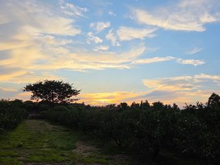 산방자연농원님의 자유주제 · 자유게시판 작성글 사진