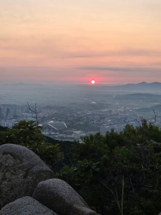 제주농부님의 자유주제 · 자유게시판 작성글 사진