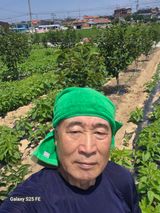 팜모닝 자유주제·자유게시판 게시글 이미지