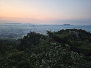 제주농부님의 자유주제 · 자유게시판 작성글 사진