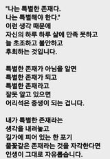 (팽나무*공주)님의 자유주제·자유게시판 작성글 사진