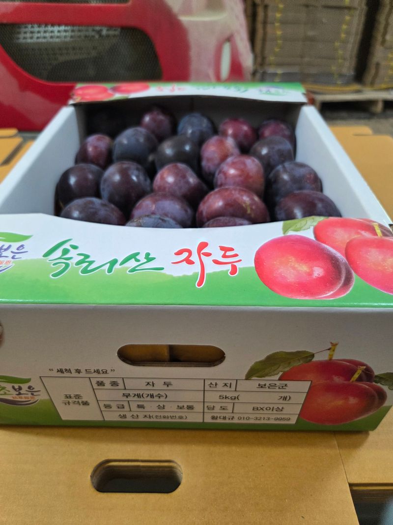 황대규님의 장터 판매 상품 [피자두] 첨부 사진