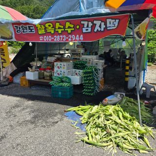 서정순님의 자유주제 · 자유게시판 작성글 사진