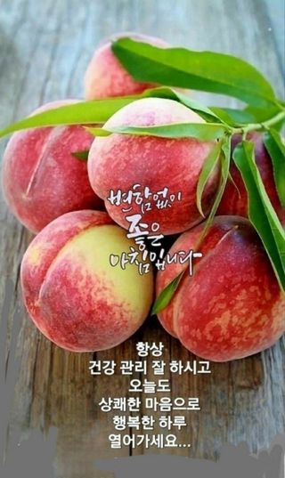 MSG0074님의 자유주제 · 자유게시판 작성글 사진