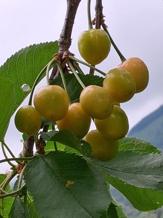 인생은 소풍처럼~님의 자유주제 · 자유게시판 작성글 사진