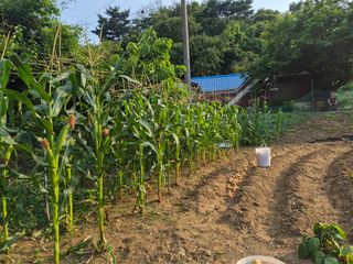 Kns4324님의 자유주제 · 자유게시판 작성글 사진