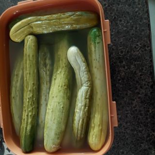 농업사랑 진영자님의 자유주제 · 자유게시판 작성글 사진