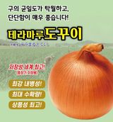 팜모닝 양파·자유게시판 게시글 이미지