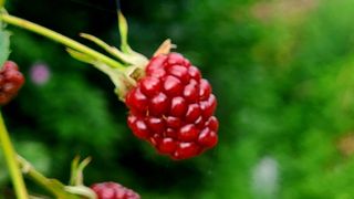 정진해님의 자유주제 · 자유게시판 작성글 사진