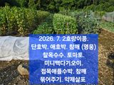 박성민님의 자유주제·자유게시판 작성글 사진