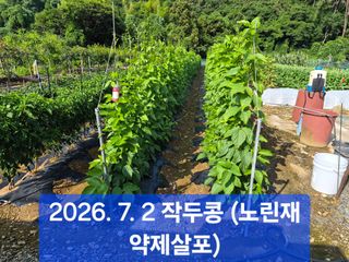박성민님의 자유주제 · 자유게시판 작성글 사진