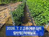 팜모닝 자유주제·자유게시판 게시글 이미지