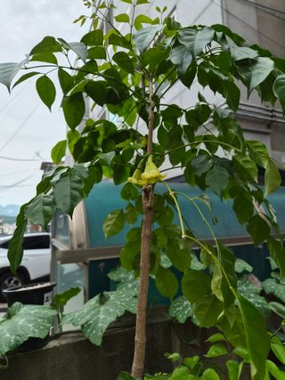 김영문님의 자유주제 · 자유게시판 작성글 사진