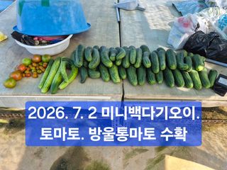 박성민님의 자유주제 · 자유게시판 작성글 사진