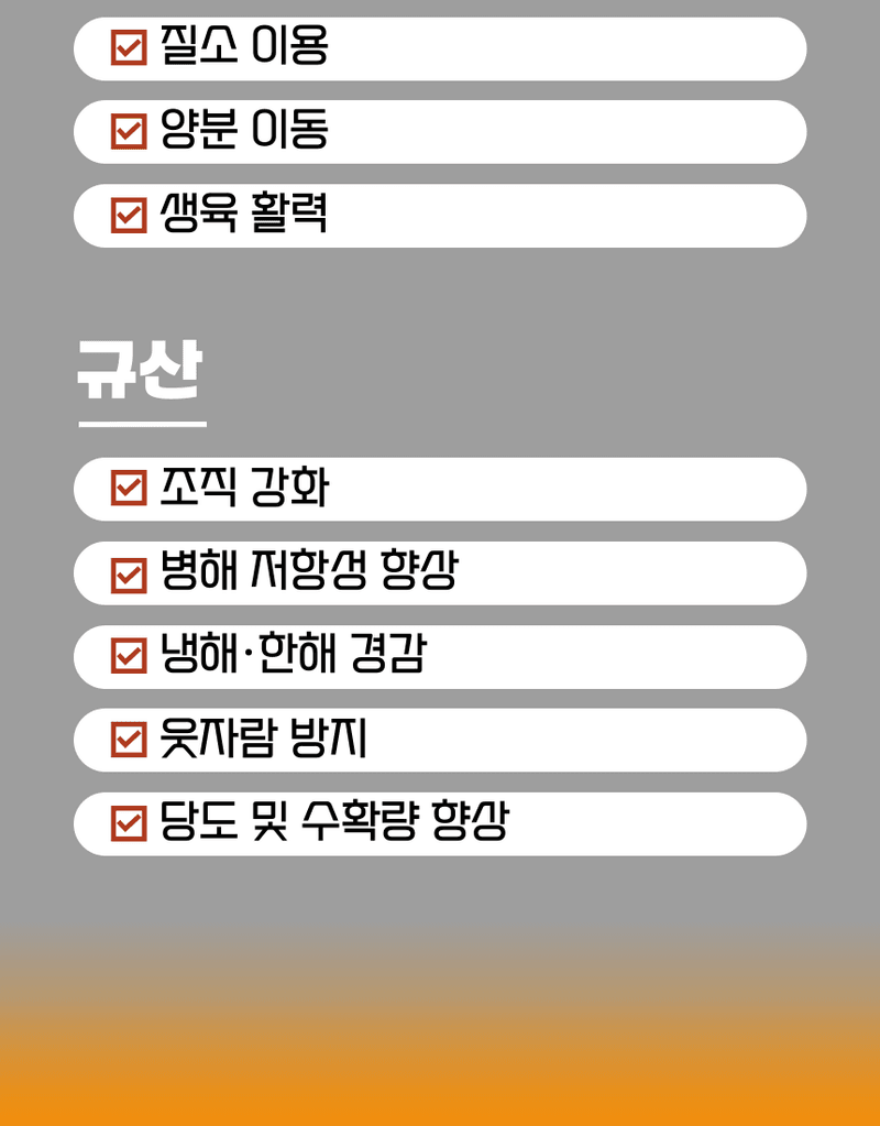 농업마켓365님의 장터 판매 상품 [오복이 플러스 500ML/1L/20L 유황규산 유기농업자재 병해관리 규산황 수용성유황] 첨부 사진