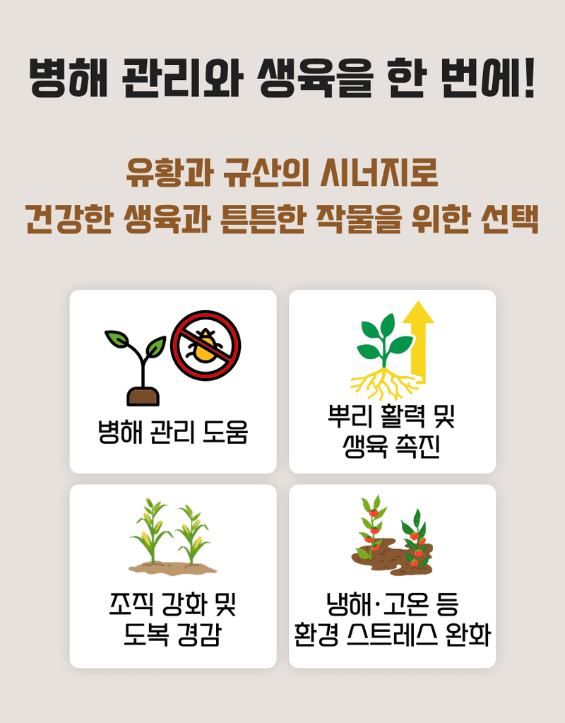 농업마켓365님의 장터 판매 상품 [오복이 플러스 500ML/1L/20L 유황규산 유기농업자재 병해관리 규산황 수용성유황] 첨부 사진