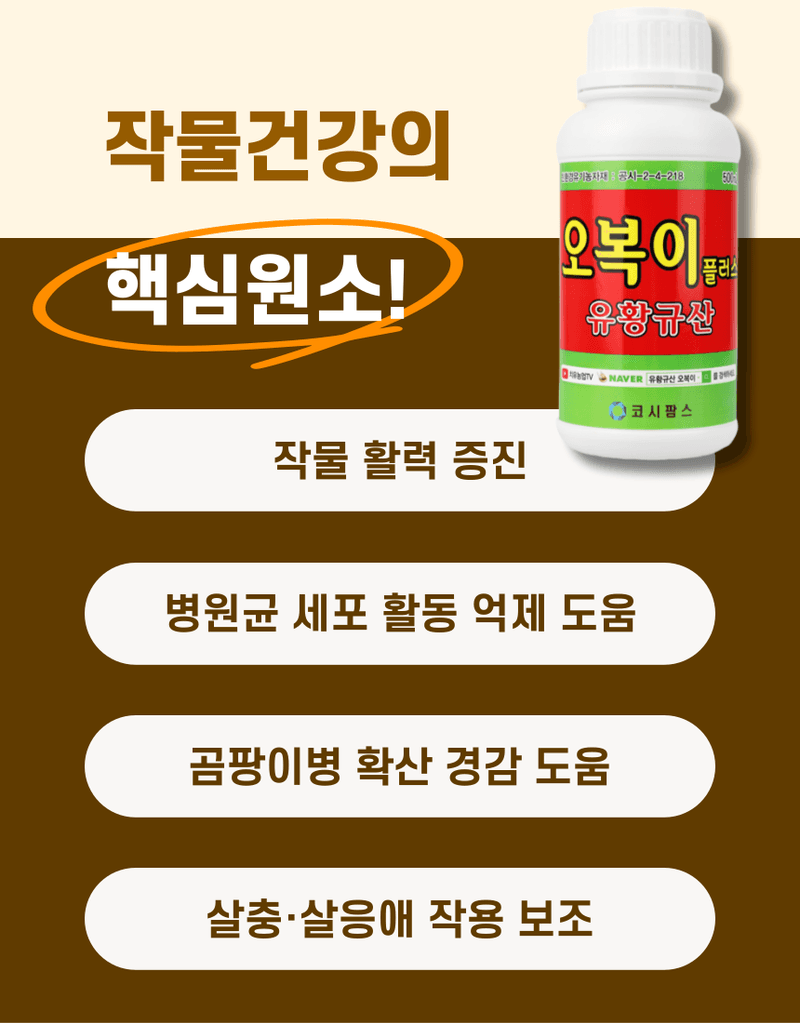 농업마켓365님의 장터 판매 상품 [오복이 플러스 500ML/1L/20L 유황규산 유기농업자재 병해관리 규산황 수용성유황] 첨부 사진