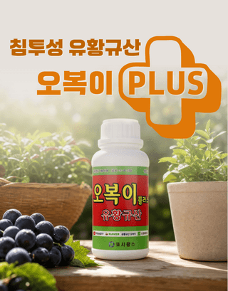 농업마켓365님의 작성글 사진