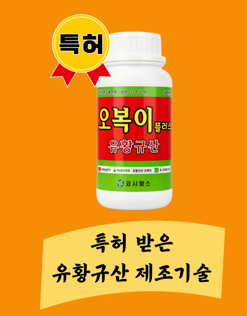 농업마켓365님의 장터 판매 상품 [오복이 플러스 500ML/1L/20L 유황규산 유기농업자재 병해관리 규산황 수용성유황] 첨부 사진