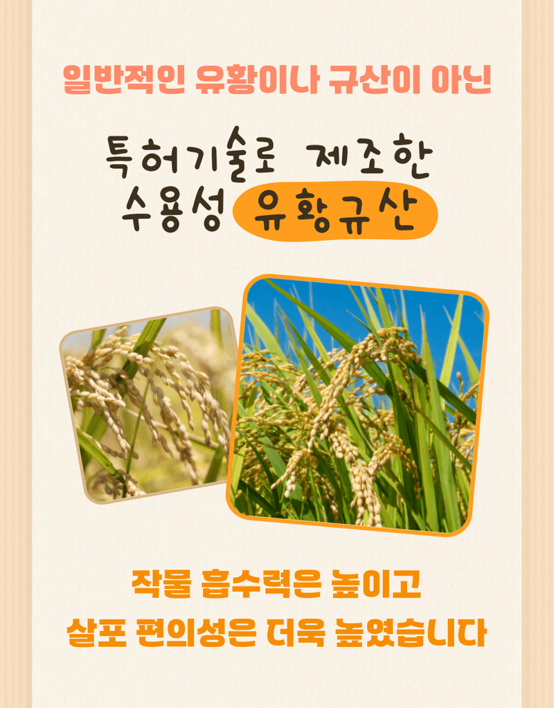 농업마켓365님의 장터 판매 상품 [오복이 플러스 500ML/1L/20L 유황규산 유기농업자재 병해관리 규산황 수용성유황] 첨부 사진