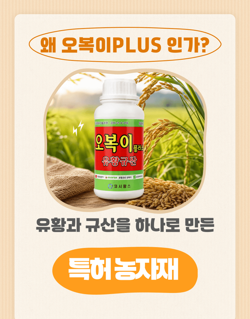 농업마켓365님의 장터 판매 상품 [오복이 플러스 500ML/1L/20L 유황규산 유기농업자재 병해관리 규산황 수용성유황] 첨부 사진