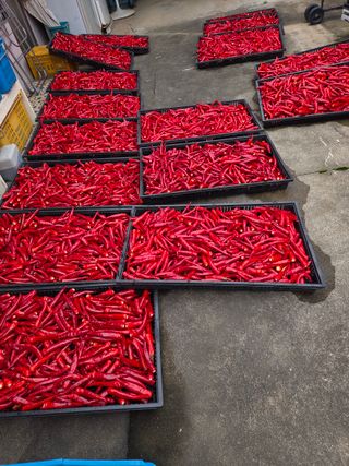 노고단님의 자유주제 · 자유게시판 작성글 사진