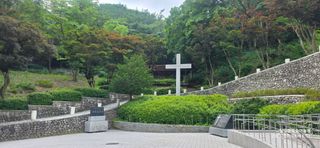 달맛햇복숭아농원님의 자유주제 · 자유게시판 작성글 사진