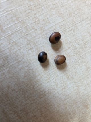 심선옥님의 자유주제 · 건의해요 작성글 사진