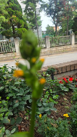 초보님의 자유주제 · 자유게시판 작성글 사진