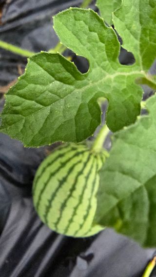 초보님의 자유주제 · 자유게시판 작성글 사진