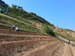 지금은 공돌이님의 자유주제 · 자유게시판 작성글 사진