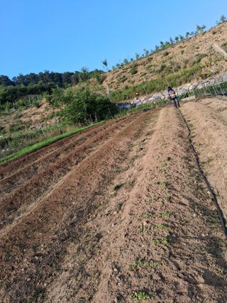 지금은 공돌이님의 자유주제 · 자유게시판 작성글 사진
