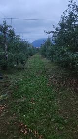 팜모닝 자유주제·자유게시판 게시글 이미지