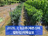 박성민님의 자유주제·자유게시판 작성글 사진