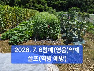 박성민님의 자유주제 · 자유게시판 작성글 사진