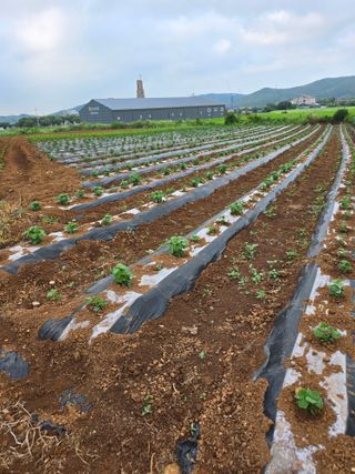 우희태님의 자유주제 · 자유게시판 작성글 사진