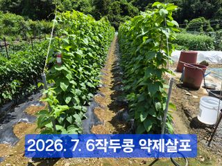 박성민님의 자유주제 · 자유게시판 작성글 사진